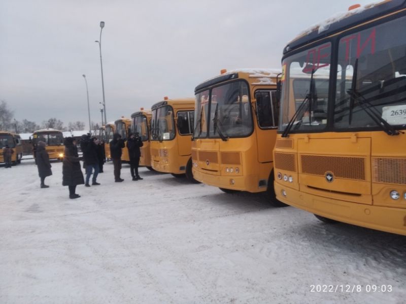 Новые школьные автобусы
