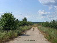 Село Васильевское