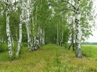 Село Васильевское